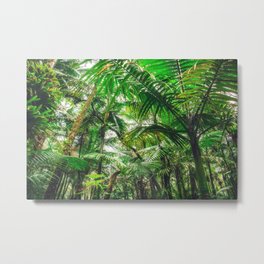 Tropical Canopy Metal Print