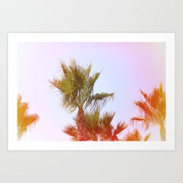 palm trees Art Print