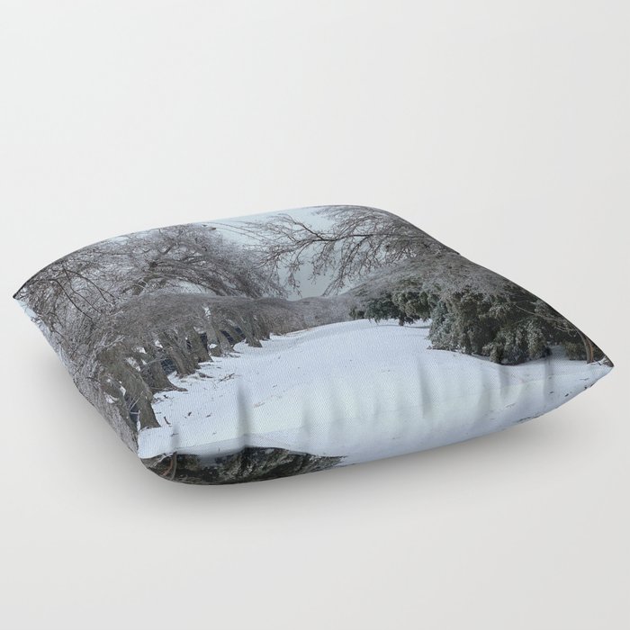 Winter Trail Floor Pillow