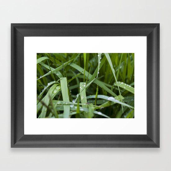 Grass Framed Art Print