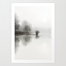 Foggy lake in the forest | forest in the Netherlands, nature photography | Landscape art print Art Print