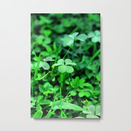 Clover Stay Metal Print | Greenclover, Ireland, Green, 4Leaf, Beautyofnature, Cuteclover, Clovers, Clover, Photo, Luck 