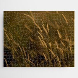 South Africa Photography - Straws Shined On By The Sunset Jigsaw Puzzle