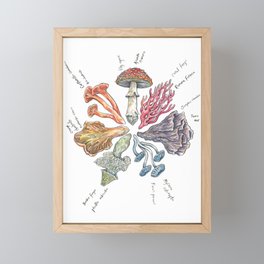 Mushroom Color Wheel Framed Mini Art Print