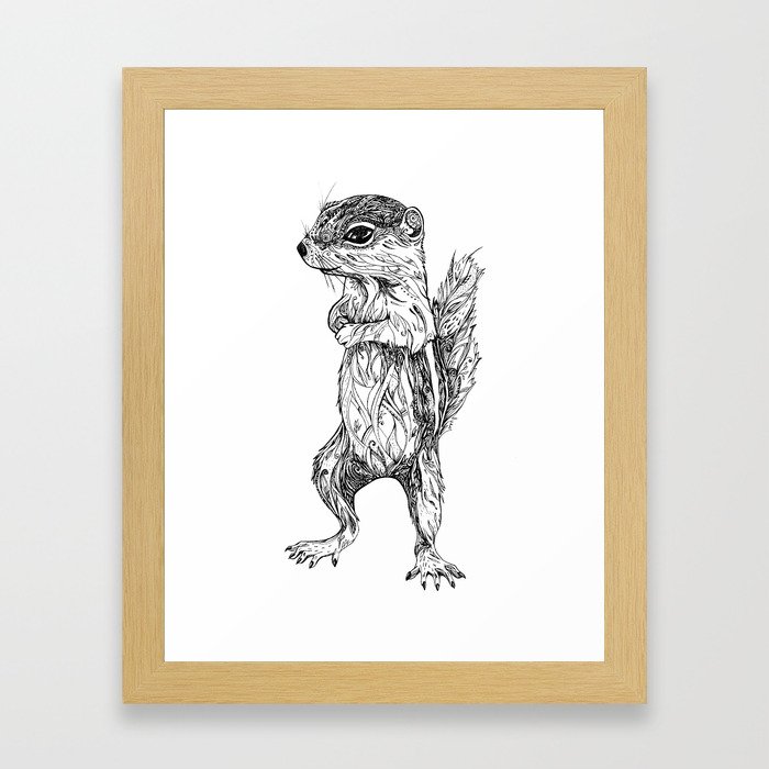 Antelope Ground Squirrel Framed Art Print