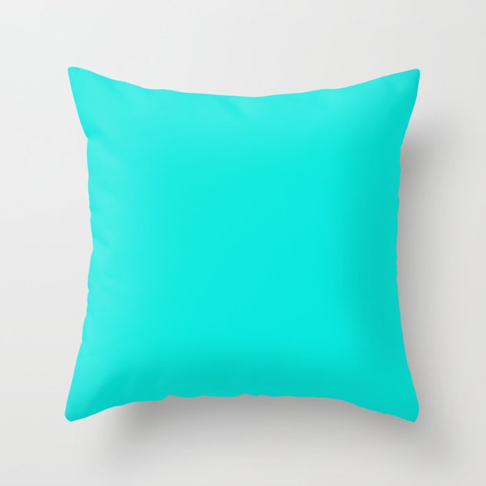 Turquoise color throw pillows online