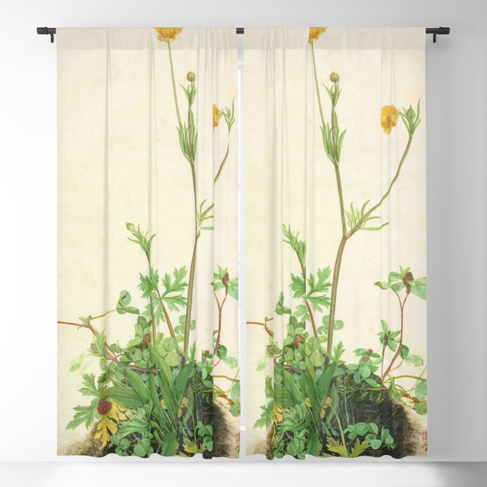 Blackout Curtain
