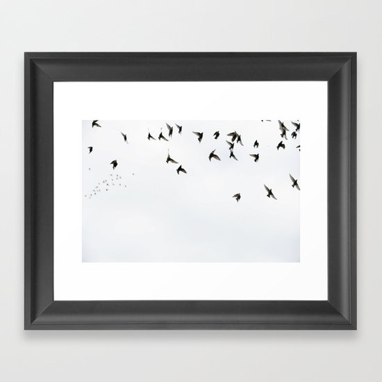 Birds Framed Art Print