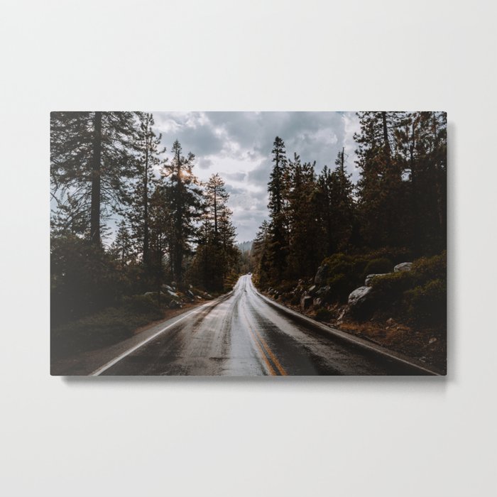 Rainy Day Adventures in the Forest Metal Print