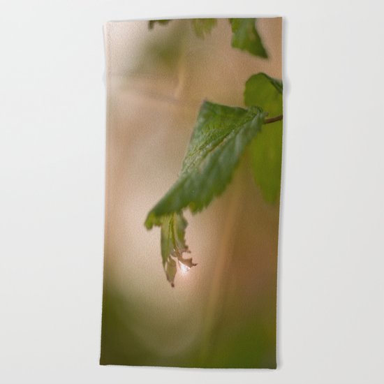 Shiny Drop n Forest Beach Towel