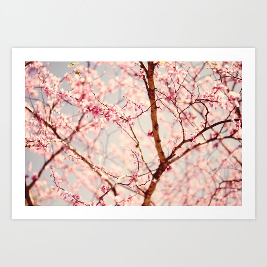 a spring day Art Print