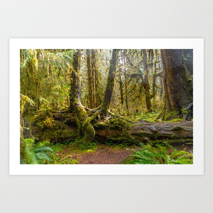 Two Trees in Love Art Print