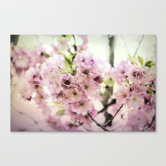 vintage cherry blossom Canvas Print