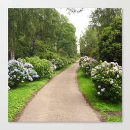 Great Britain Photography - Beautiful Trail Going Through The Park Canvas Print