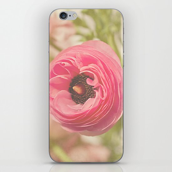 The Pretty Pink Ranunculus iPhone & iPod Skin