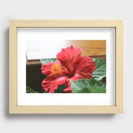 flower Recessed Framed Print