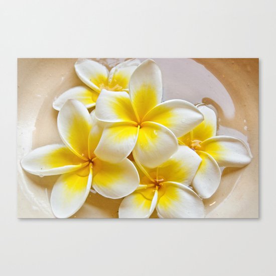 Plumeria Blossoms Canvas Print
