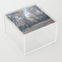 Deciduous autumn forest landscape Acrylic Box