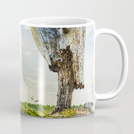 Stumpy Coffee Mug