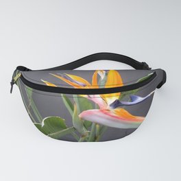 Multicolored Bird Of Paradise Flower Photograph Fanny Pack