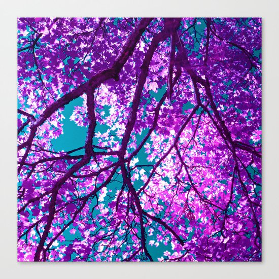 purple tree III Canvas Print