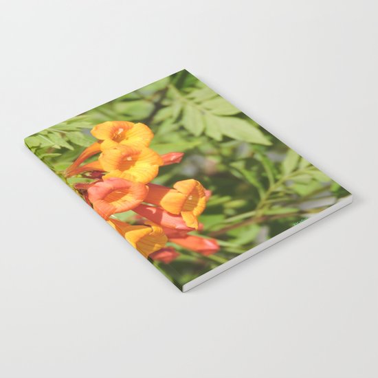 Natural Brass Blowing in the Breeze Notebook