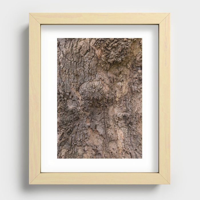 bark pattern of a tree in nature forest Recessed Framed Print