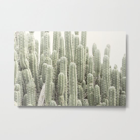 Cactus 1 Metal Print