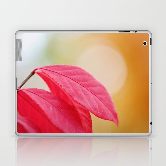 Autumn Glow Laptop & iPad Skin
