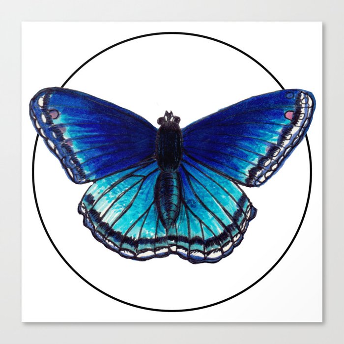 Blue Morpho Butterfly - Marker Illustration Canvas Print