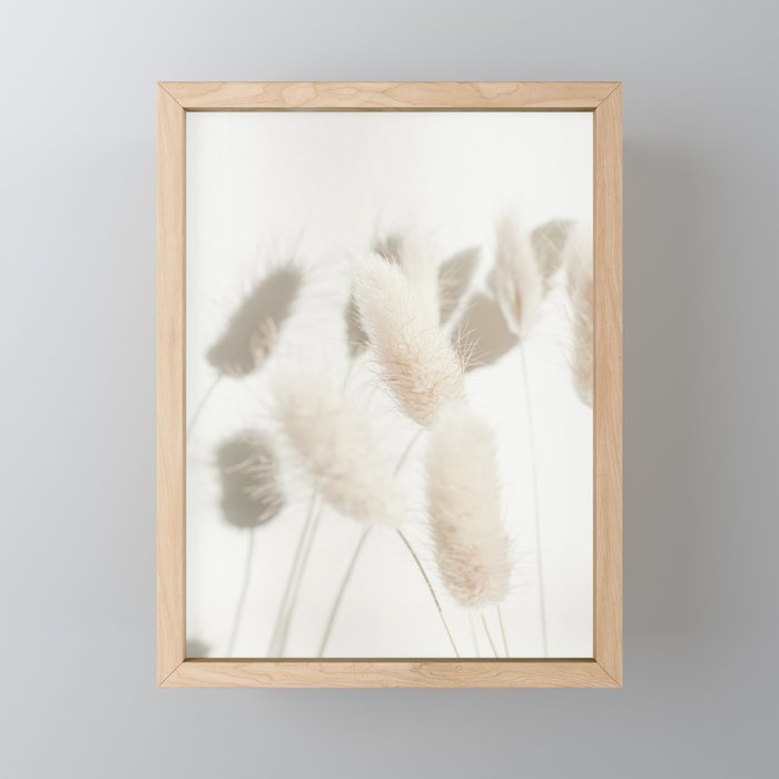 Fluffy Bunny Tail Grass | Soft Neutral Color Photography Art Print | Nature Shadowplay Photo Framed Mini Art Print