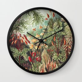 Mushroomlandia Vintage Botanical Print by Ernst Haeckel Wall Clock