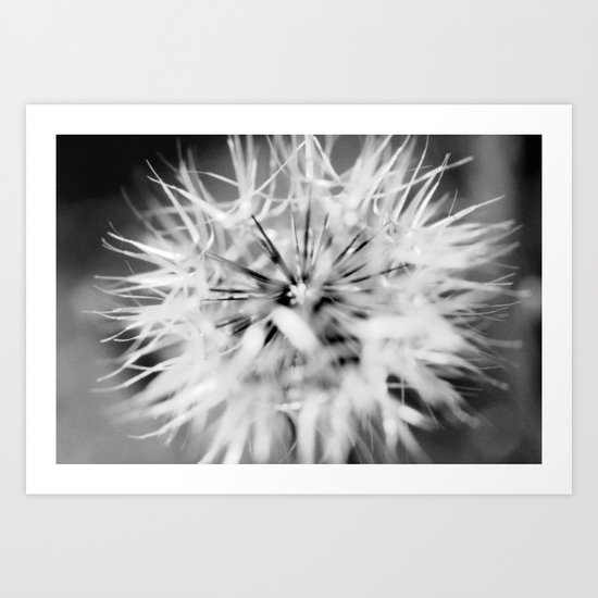 natural perfection Art Print