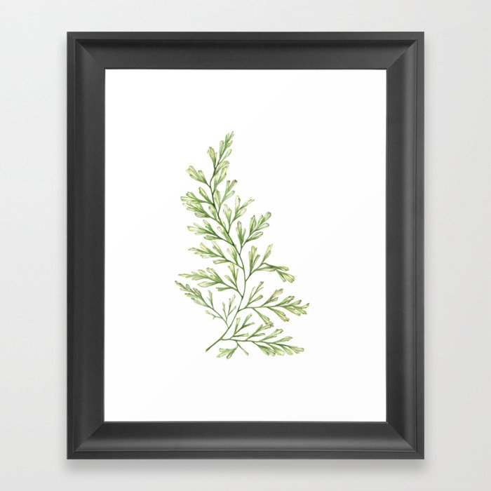 Fern Leaf Watercolor Painting Framed Art Print By Jennipirmann