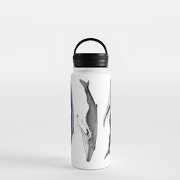 Humpback whales Water Bottle