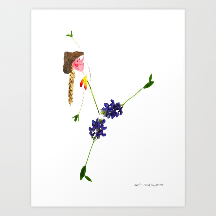 Blue Bonnet Sue Art Print | Photography, Flowers, Flower, Watercolor, Floral, Pippingtooth, Curlin-reed-sullivan, Curlin, Garden, Cheerful