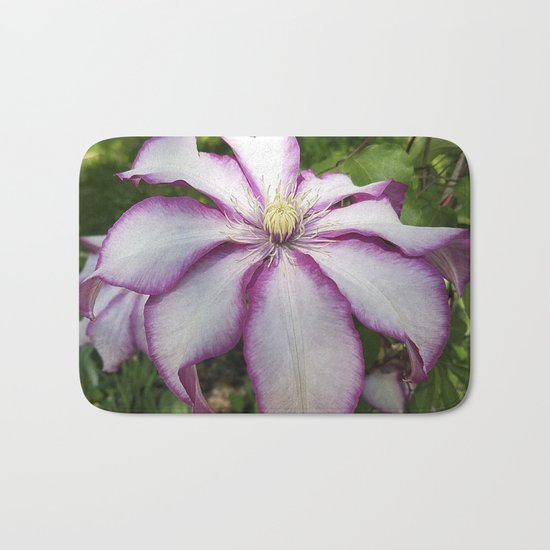 Clematis 'Betty Risdon'- Stunning two-tone flowers Bath Mat