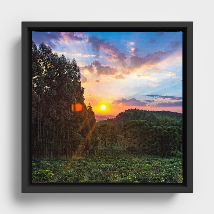 Brazil Photography - Astonishing Sunset Over The Brazilian Forest Framed Canvas
