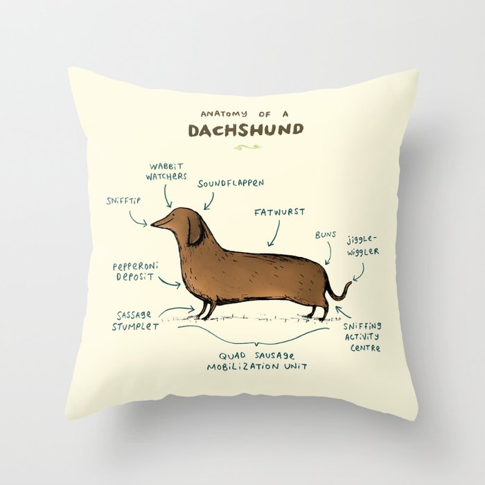 Throw Pillow