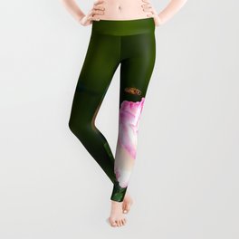 A Rose Flower And A Honey Bee Leggings