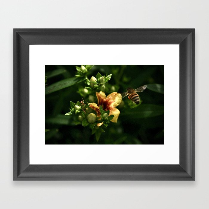 Bee-lieve in yourself! Framed Art Print
