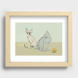 Cats Recessed Framed Print