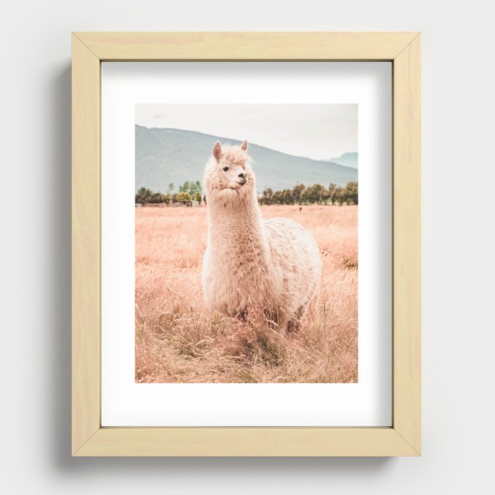 Recessed Framed Print