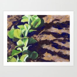 Plants sprouts Art Print | Nature, Painting 