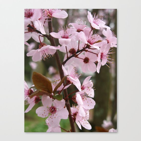 Tenderness Canvas Print