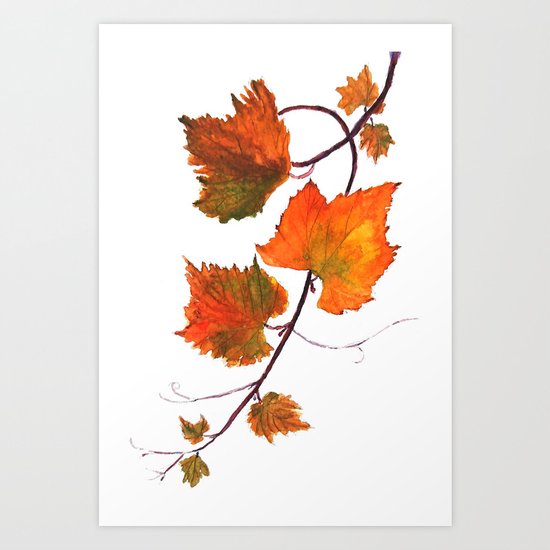 grapevine in autumn Art Print