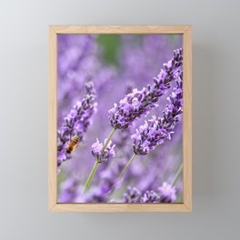 Bee Lavender Framed Mini Art Print