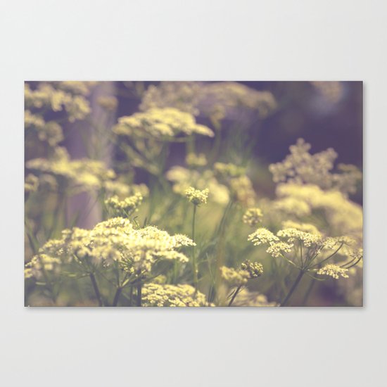 Driven to Distraction Canvas Print