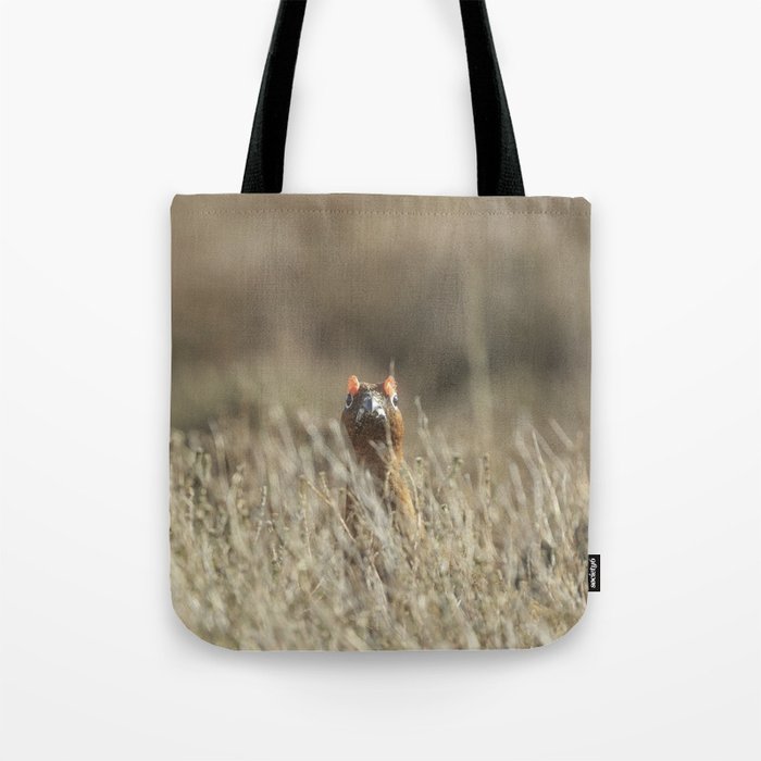 Red grouse Tote Bag