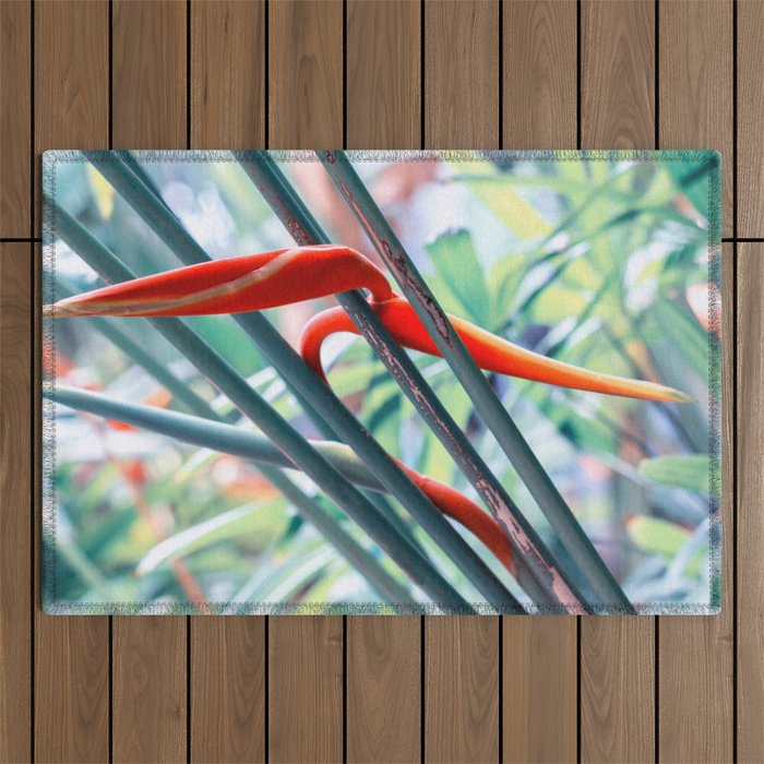 Beautiful Heliconia Flower In Indonesian Jungle Outdoor Rug